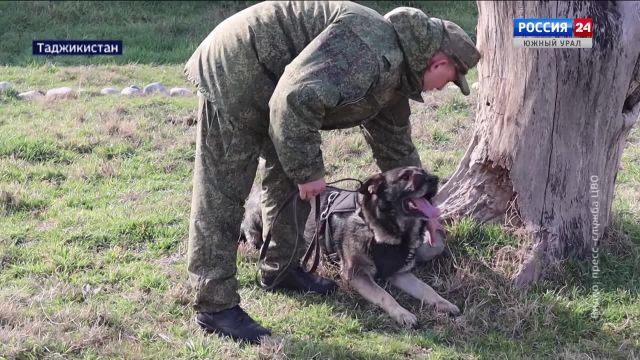 Тренировку с собаками провели военные ЦВО в Таджикистане