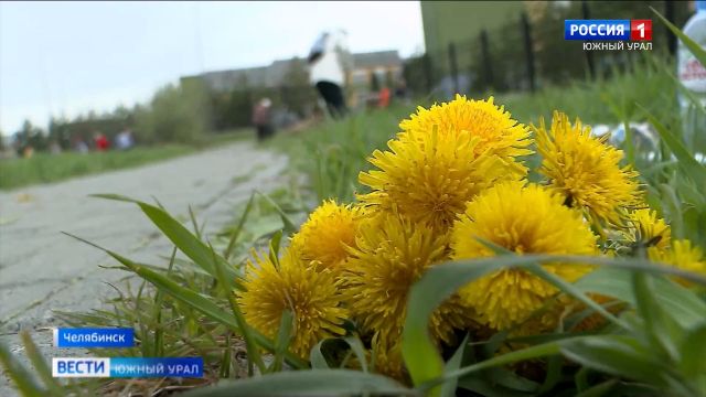 Тридцать тысяч жителей Челябинска вышли на субботник