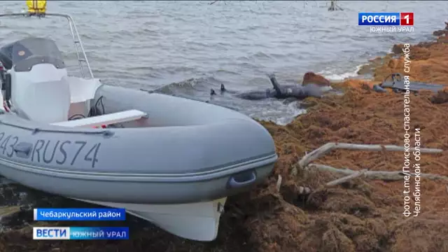 В Челябинской области с начала купального сезона утонули 29 чел