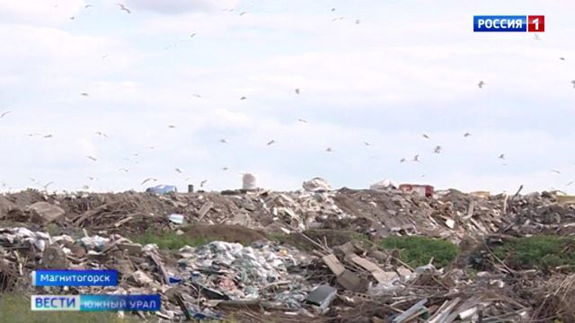 В Магнитогорске закрыли мусорную свалку: куда направят отходы