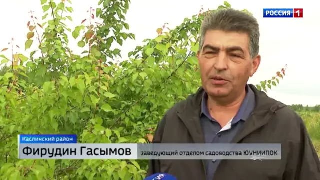 Без гербицидов и пестицидов: экоплоды и ягоды выращивают на Южном Урале