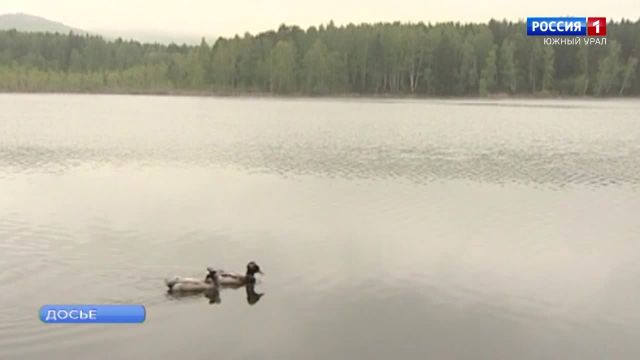 В Челябинской области собирают идеи по сохранению озера Тургояк