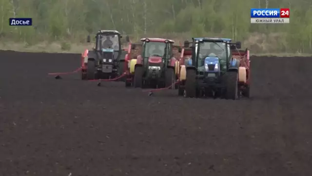 Производство картофеля увеличат в Челябинской области