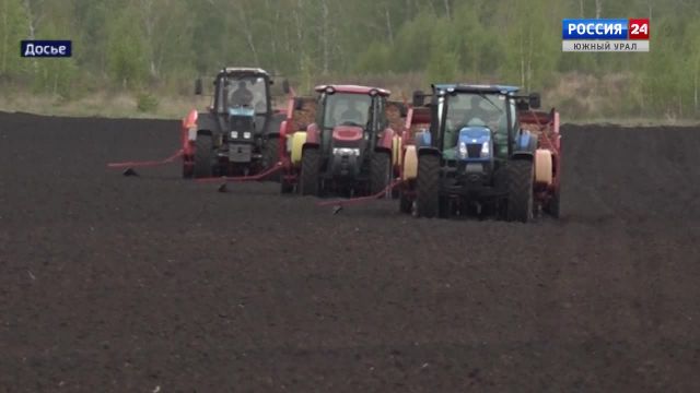 Производство картофеля увеличат в Челябинской области