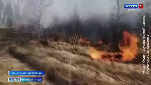 Природные пожары потушили в Челябинской области