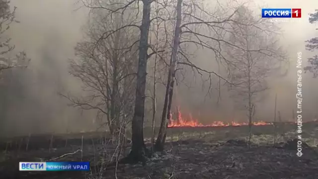 Площадь пожара в нацпарке Челябинской области превысила тысячу га