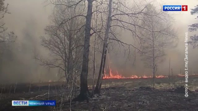Площадь пожара в нацпарке Челябинской области превысила тысячу га