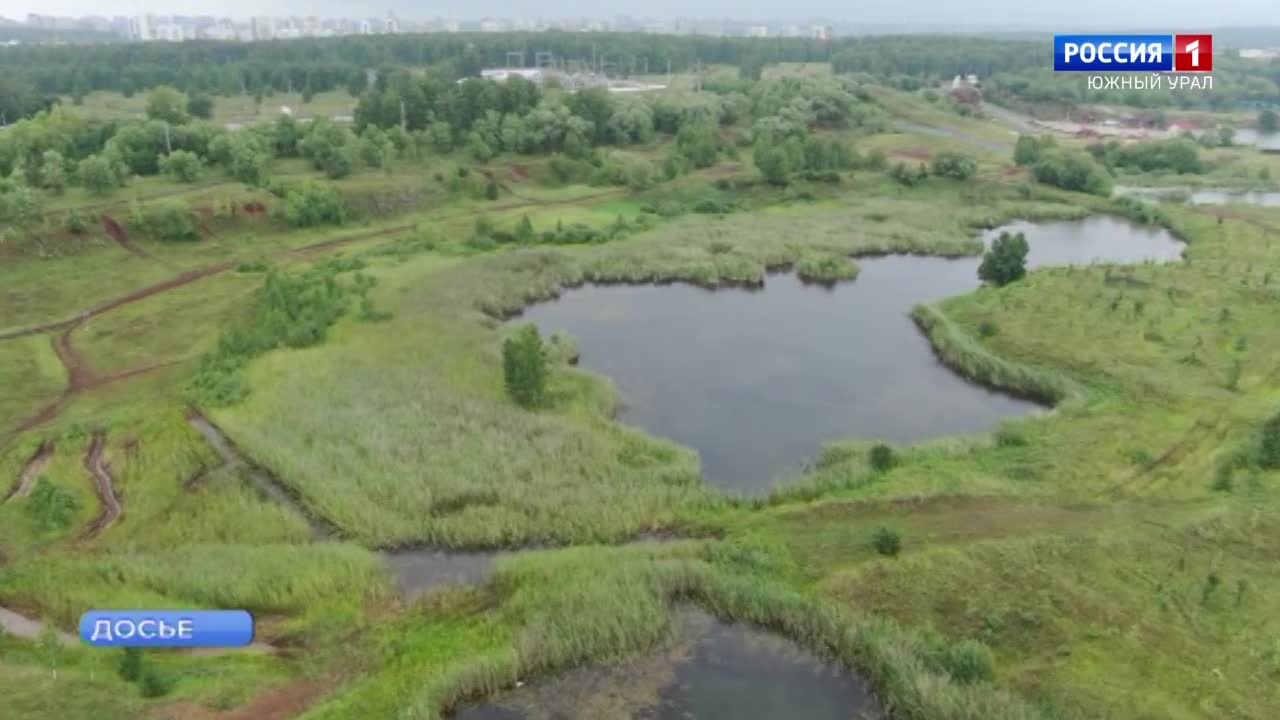 Водоемы в Челябинской области могут «зацвести» раньше обычного