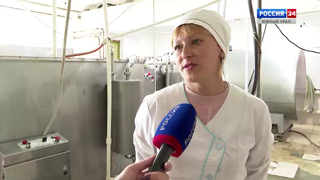 Как в Челябинской области выращивают коров-рекордсменов