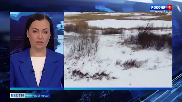 подруги в Челябинской области похитили женщину и заставили копать могилу