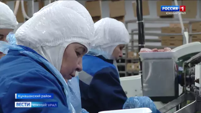 Крупнейшая птицефабрика Челябинской области расширяет производств