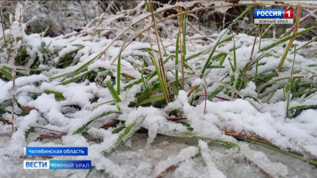 Зимний сентябрь: как жители Челябинской области пережили непогоду