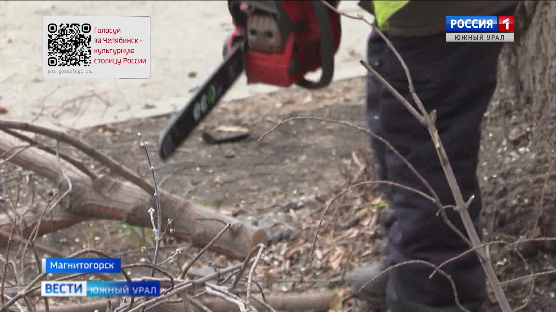 В Магнитогорске санитарная обрезка деревьев из-за теплой погоды продолжится в декабре