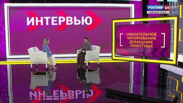 Чипирование собак в Челябинске: эксперт рассказал об ответственности хозяев питомцев